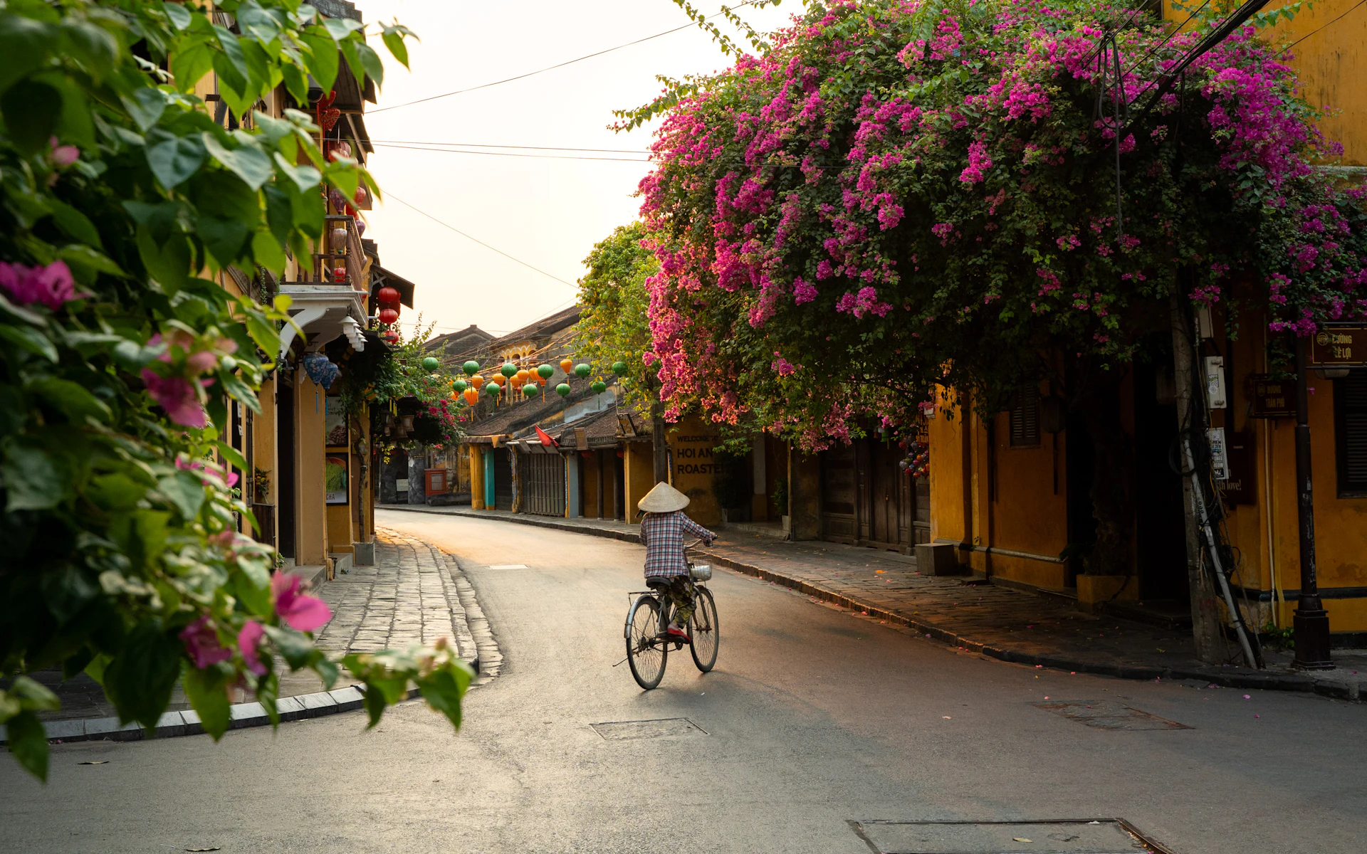 Fahrradfahrer in einer blumengesäumten Gasse von Hoi An