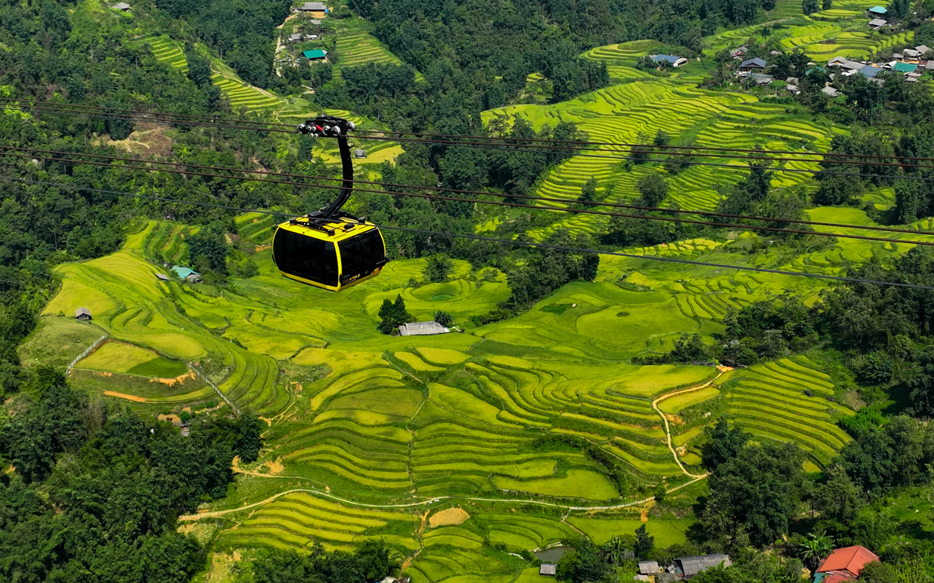 Seilbahn über üppig grüne, terrassierte Reisfelder
