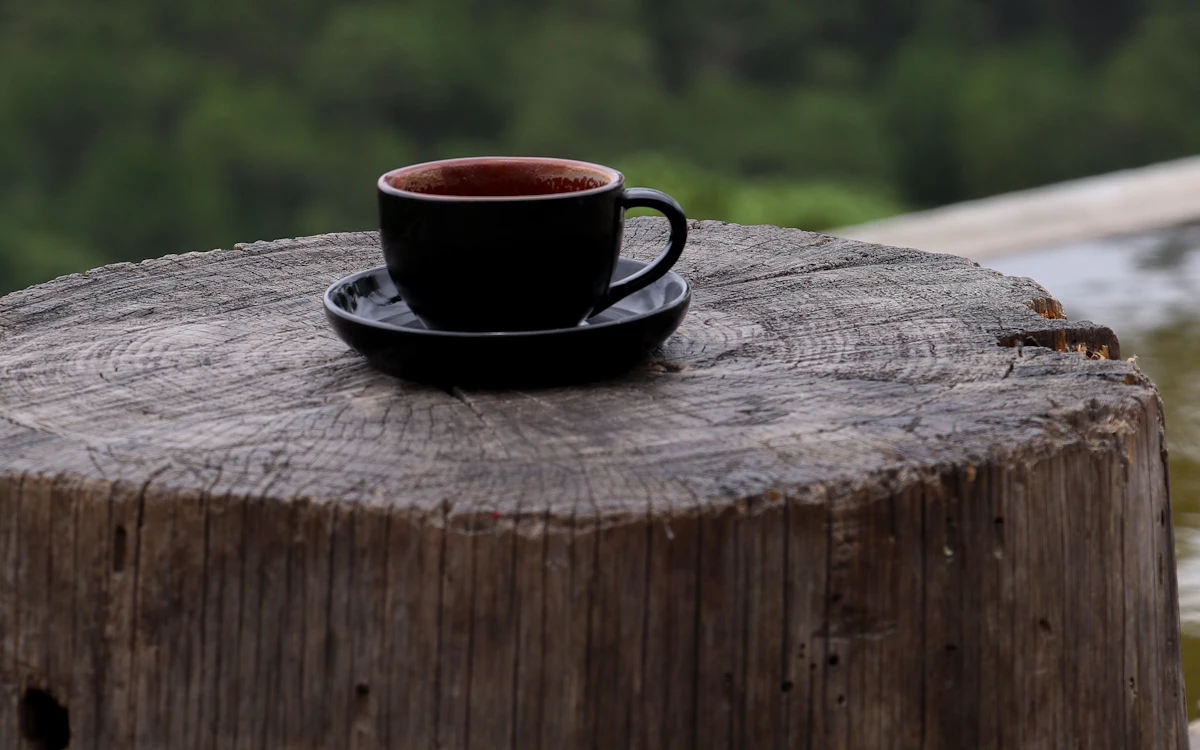 Eine Tasse Kaffee mit Blick ins Grüne