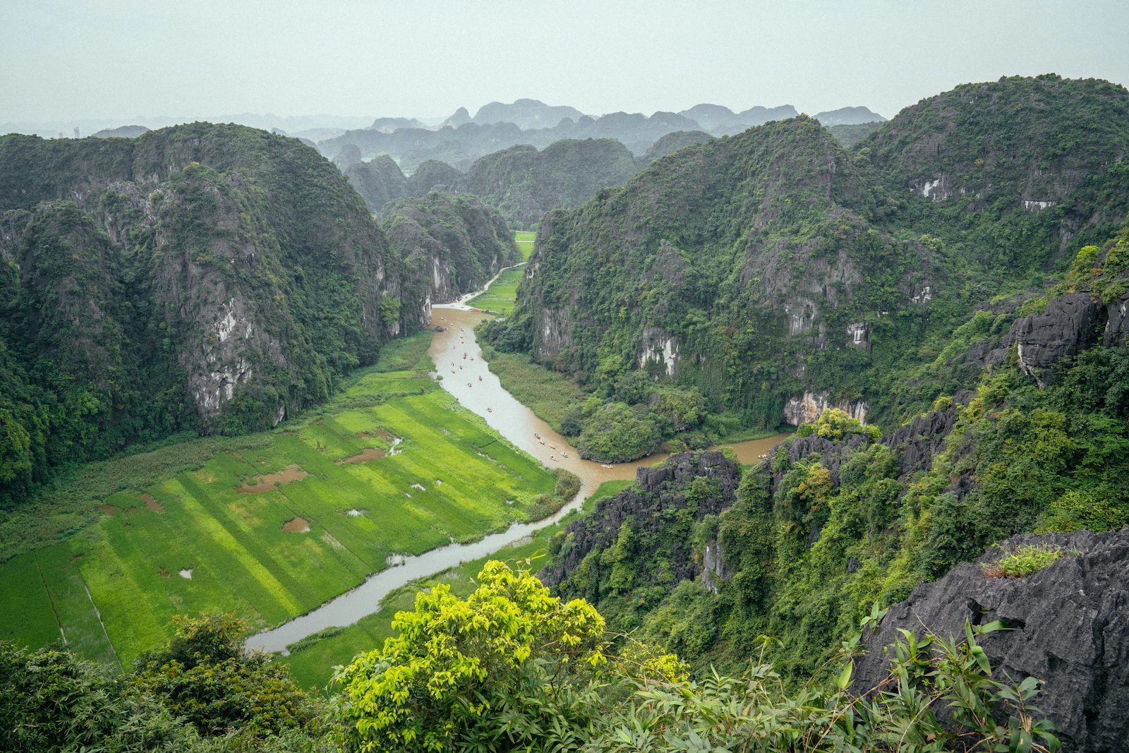 Blick von Hang Mua auf den Ngo Dong zwischen Reisfeldern und Kalkbergen im Tam-Coc-Tal